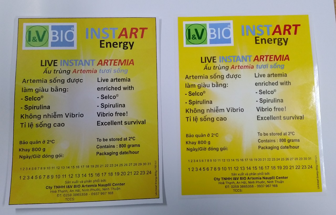 khac-giua-cac-mau-tem-nhan