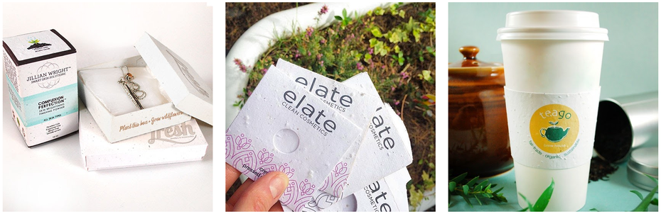 bao-bi-chua-hat-giong