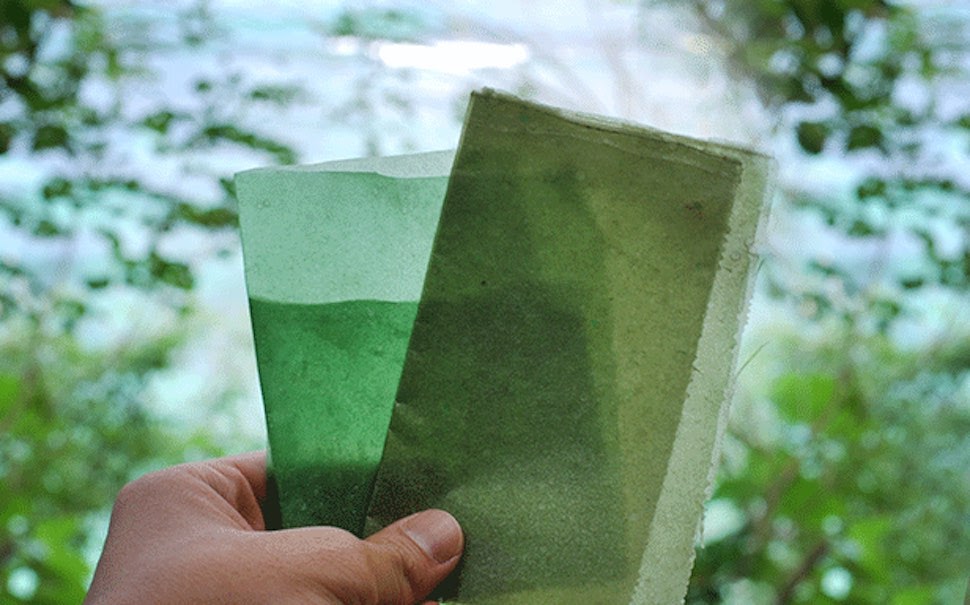 bao-bi-dung-thuc-an-nhanh-co-the-an-duoc